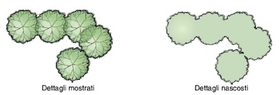 11_piante00007.png