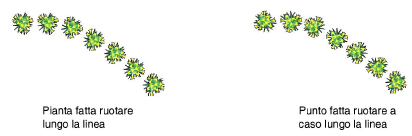 11_piante00014.png