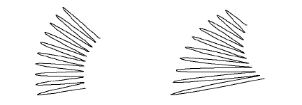 14_nurbs+subDiv00244.png