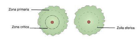 35_LM-paesaggio_e_piante00089.png