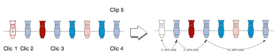 43_SL_Cablaggi00037.png