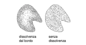 stipple_fade.png