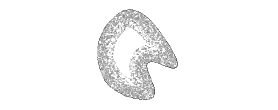 stipple_void.png