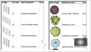 images-on-spreadsheets-sm.jpg