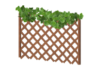 fence_foliage.png