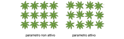 Area_vegetazione_Random1.png