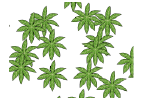 Area_vegetazione_Random2.png