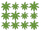 Area_vegetazione_Random3.png