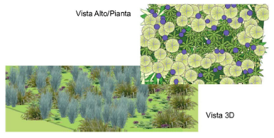 Area_vegetazione_esempio1.png