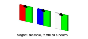 Mag_Gender.png